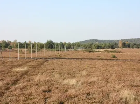 16.10.2017 - Działka, Ogrodzenie